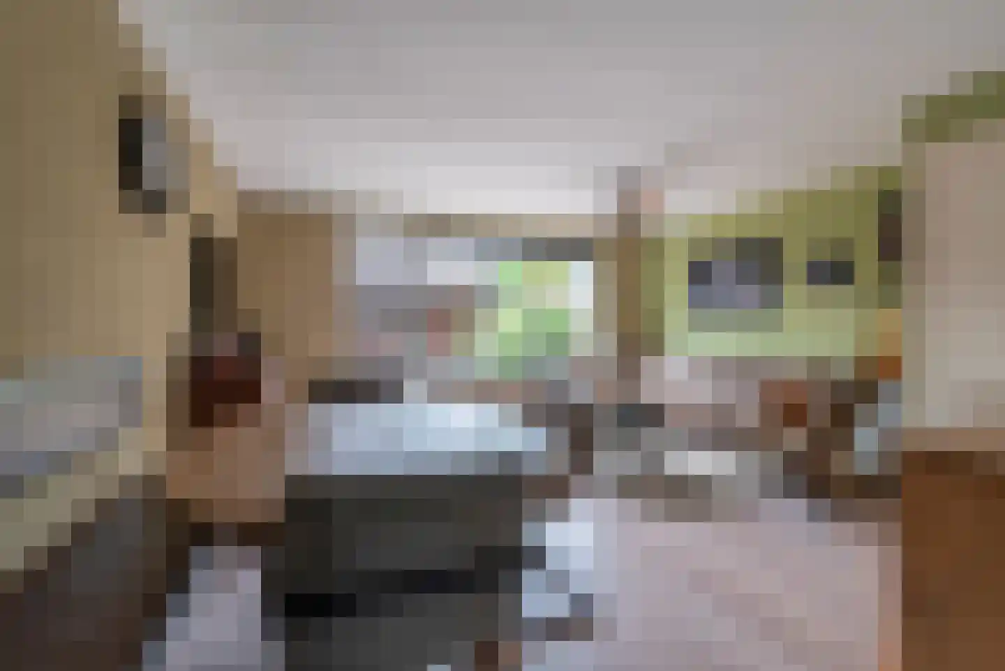 Grasmus 11 Veenendaal thumbnail 7
