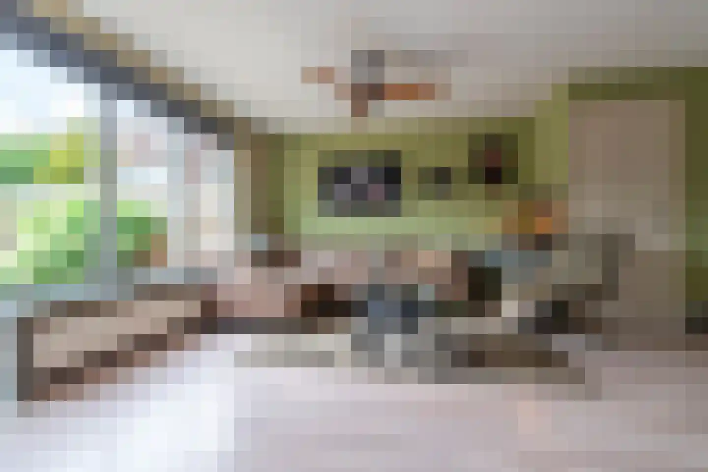 Grasmus 11 Veenendaal thumbnail 8