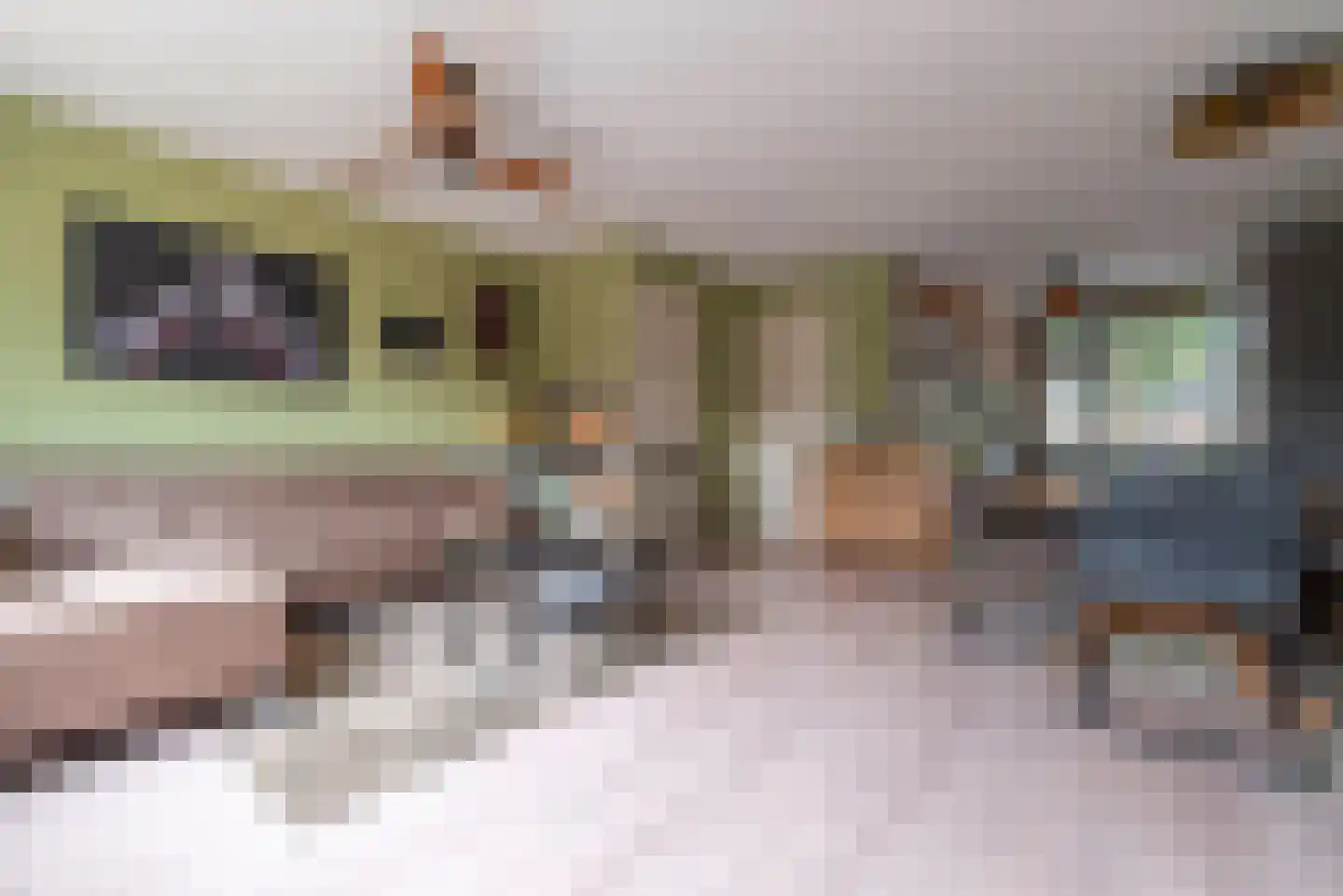 Grasmus 11 Veenendaal thumbnail 9