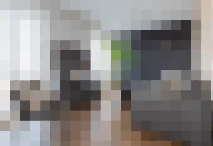 Grasoever 4 Roelofarendsveen thumbnail 10