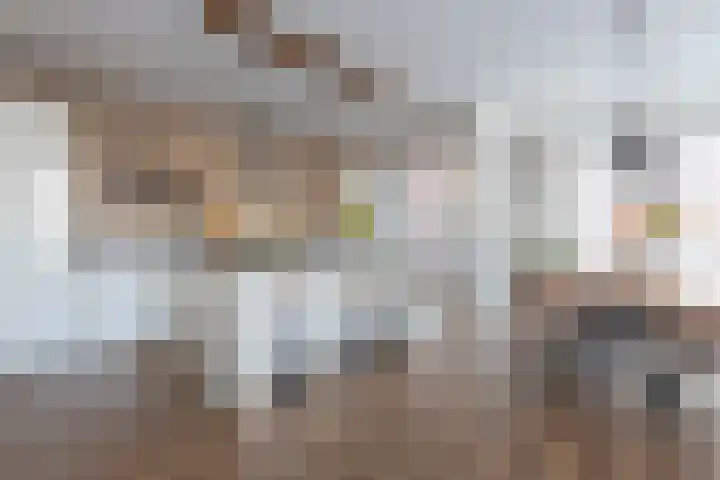 Grasoever 4 Roelofarendsveen thumbnail 12