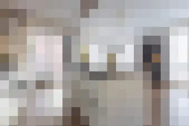 Grasoever 4 Roelofarendsveen thumbnail 13