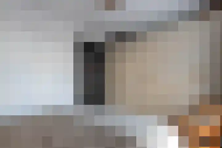 Grasoever 4 Roelofarendsveen thumbnail 17