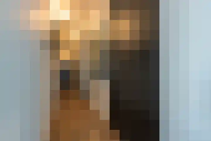 Grasoever 4 Roelofarendsveen thumbnail 18