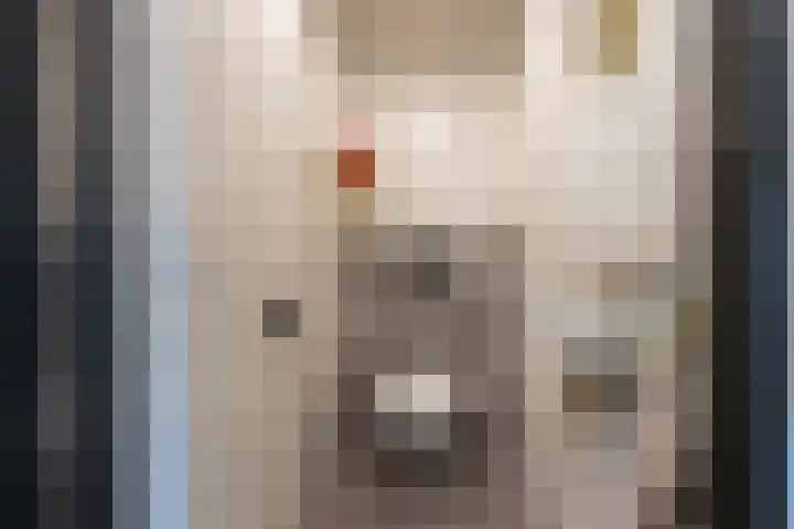 Grasoever 4 Roelofarendsveen thumbnail 19