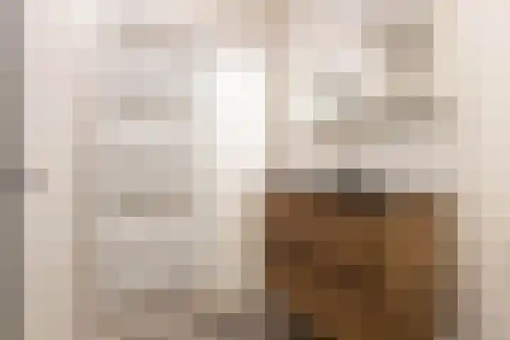 Grasoever 4 Roelofarendsveen thumbnail 21