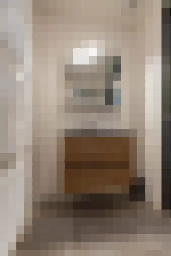 Grasoever 4 Roelofarendsveen thumbnail 23