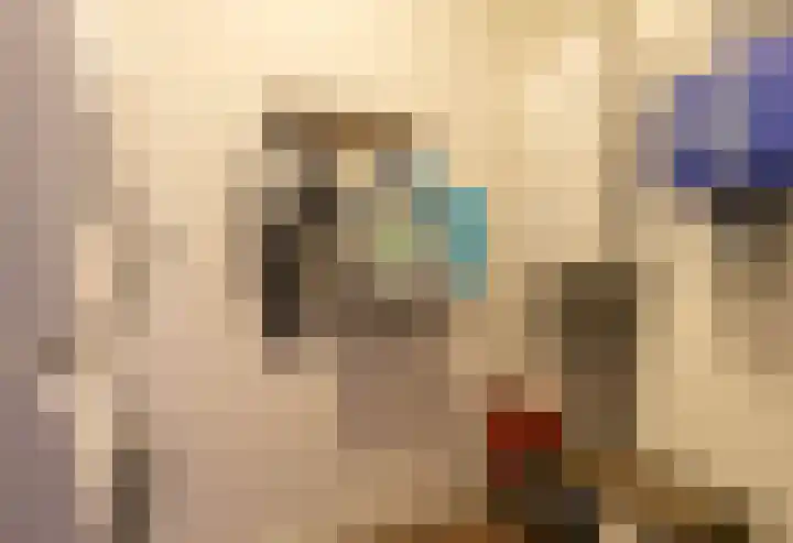 Grasoever 4 Roelofarendsveen thumbnail 24