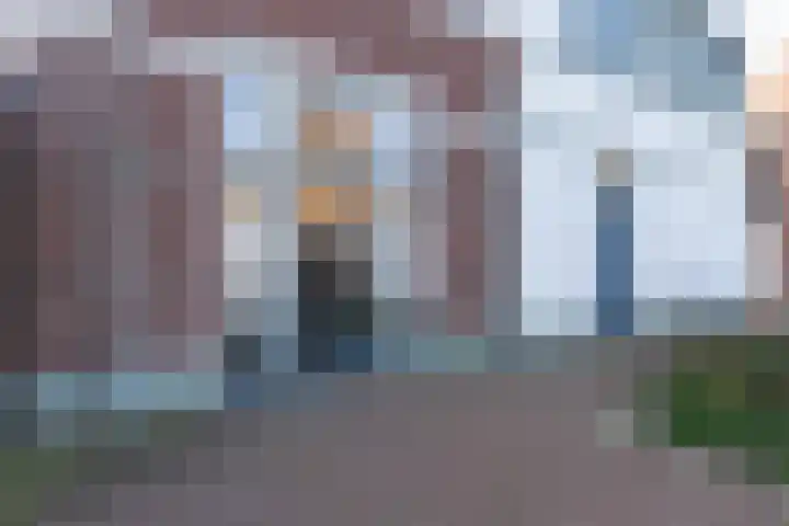 Grasoever 4 Roelofarendsveen thumbnail 26