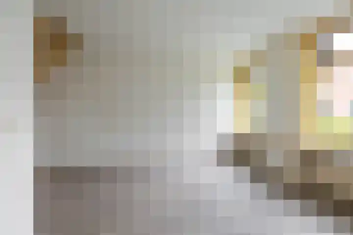 Graspad 31 Groningen thumbnail 11