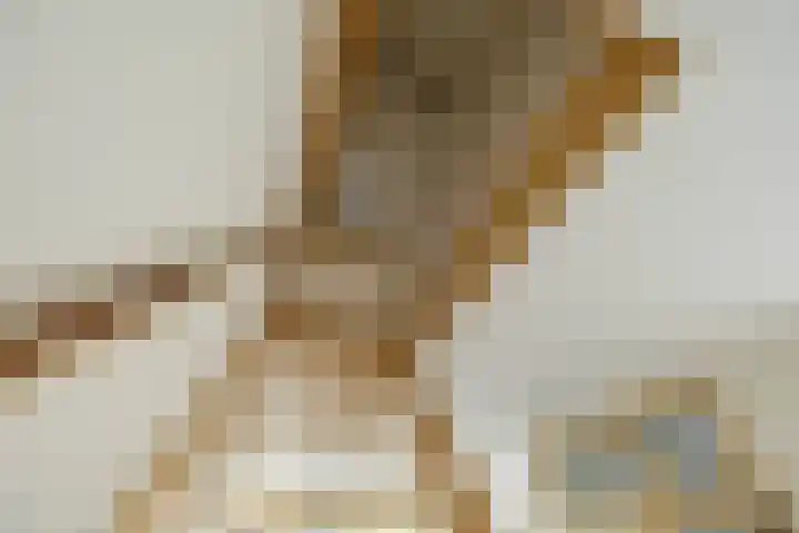 Graspad 31 Groningen thumbnail 21