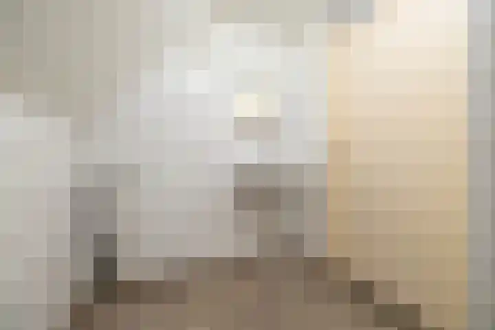 Graspad 31 Groningen thumbnail 27