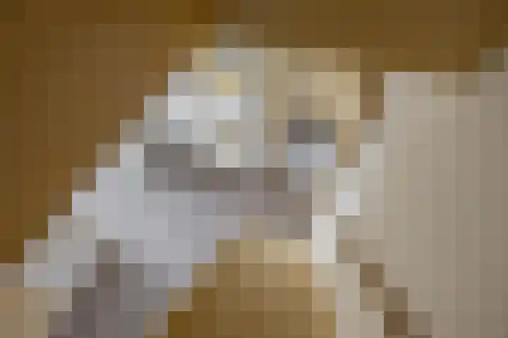 Graspad 31 Groningen thumbnail 30