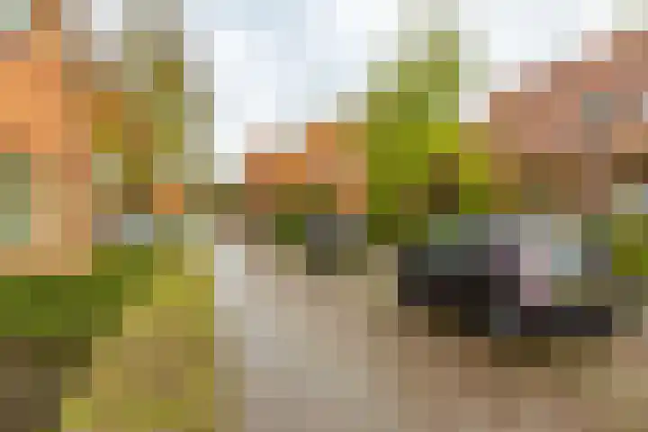 Graspad 31 Groningen thumbnail 34
