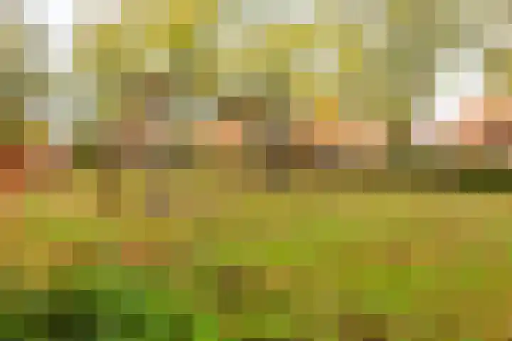Graspad 31 Groningen thumbnail 35