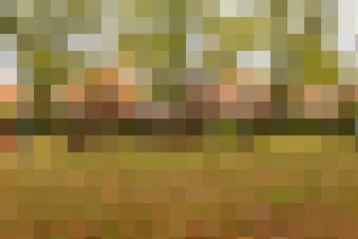 Graspad 31 Groningen thumbnail 36