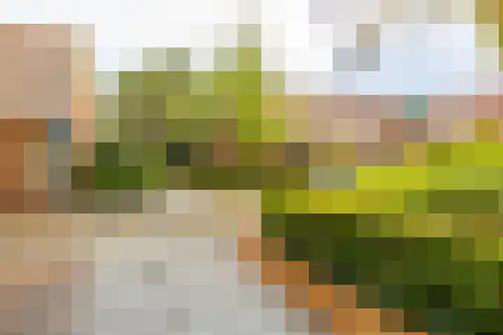 Graspad 31 Groningen thumbnail 37