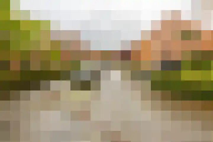 Graspad 31 Groningen thumbnail 38