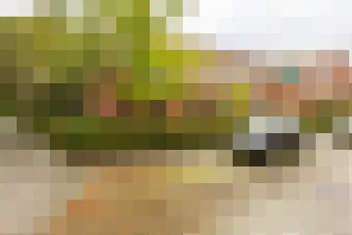 Graspad 31 Groningen thumbnail 39