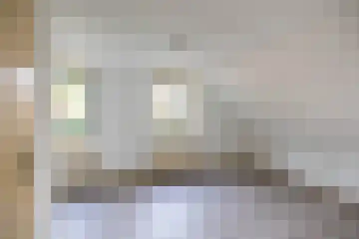 Graspad 31 Groningen thumbnail 4