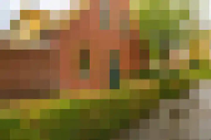 Graspad 31 Groningen thumbnail 5
