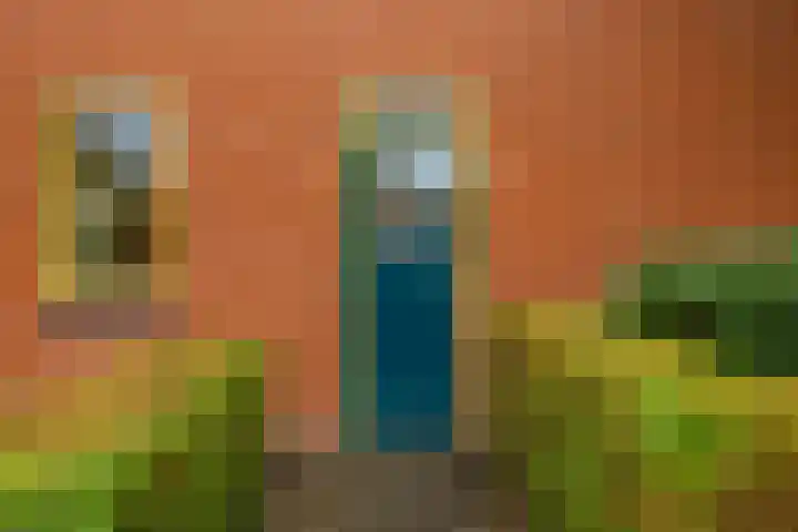 Graspad 31 Groningen thumbnail 6