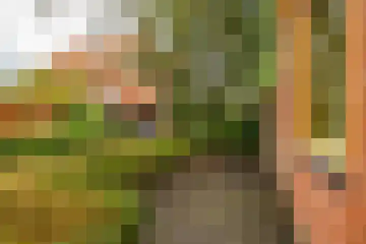 Graspad 31 Groningen thumbnail 7