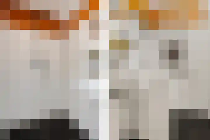 Graspad 53 Groningen thumbnail 38
