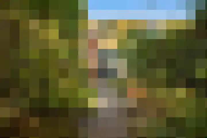 Graspad 53 Groningen thumbnail 40