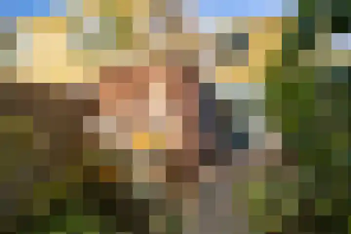 Graspad 53 Groningen thumbnail 41