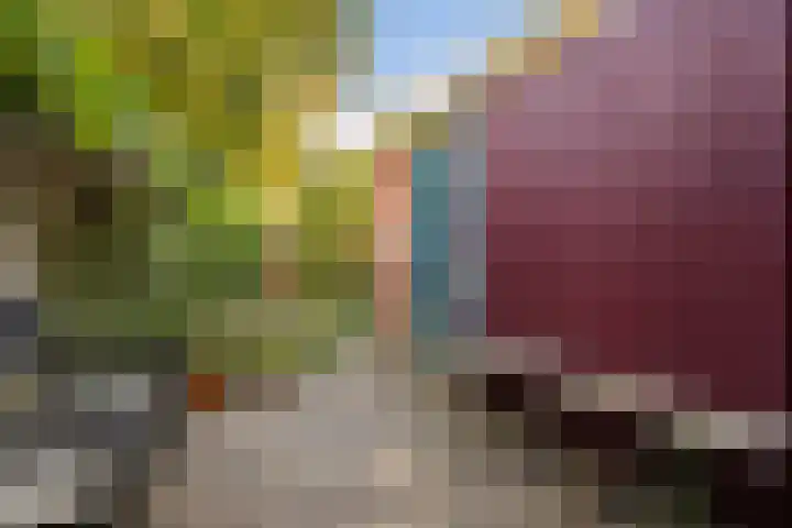 Graspad 53 Groningen thumbnail 43