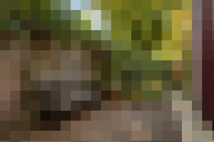 Graspad 53 Groningen thumbnail 44