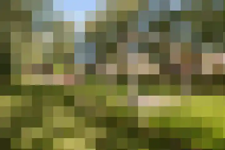 Graspad 53 Groningen thumbnail 47