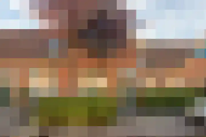 Graspad 53 Groningen thumbnail 6