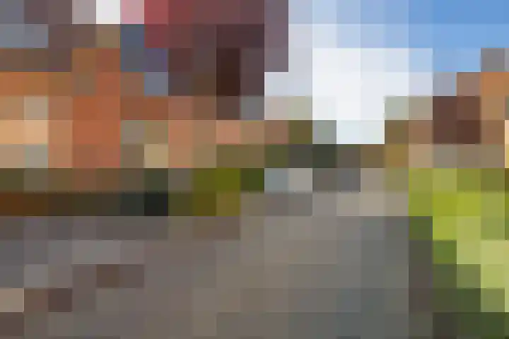 Graspad 53 Groningen thumbnail 7