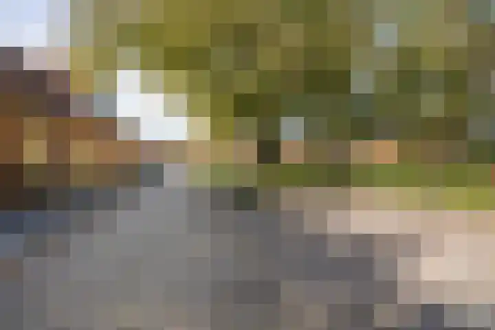 Graspad 53 Groningen thumbnail 8