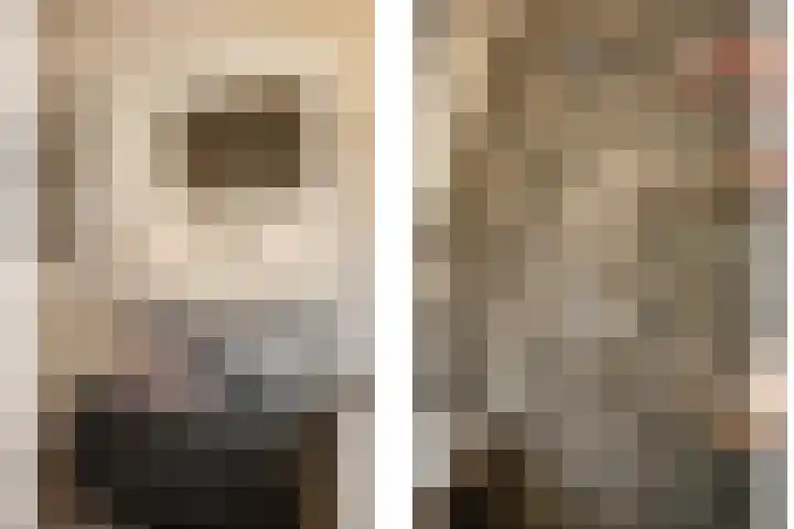 Graspad 55 Groningen