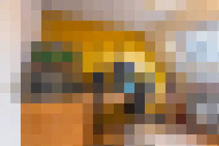 Graspad 55 Groningen thumbnail 22