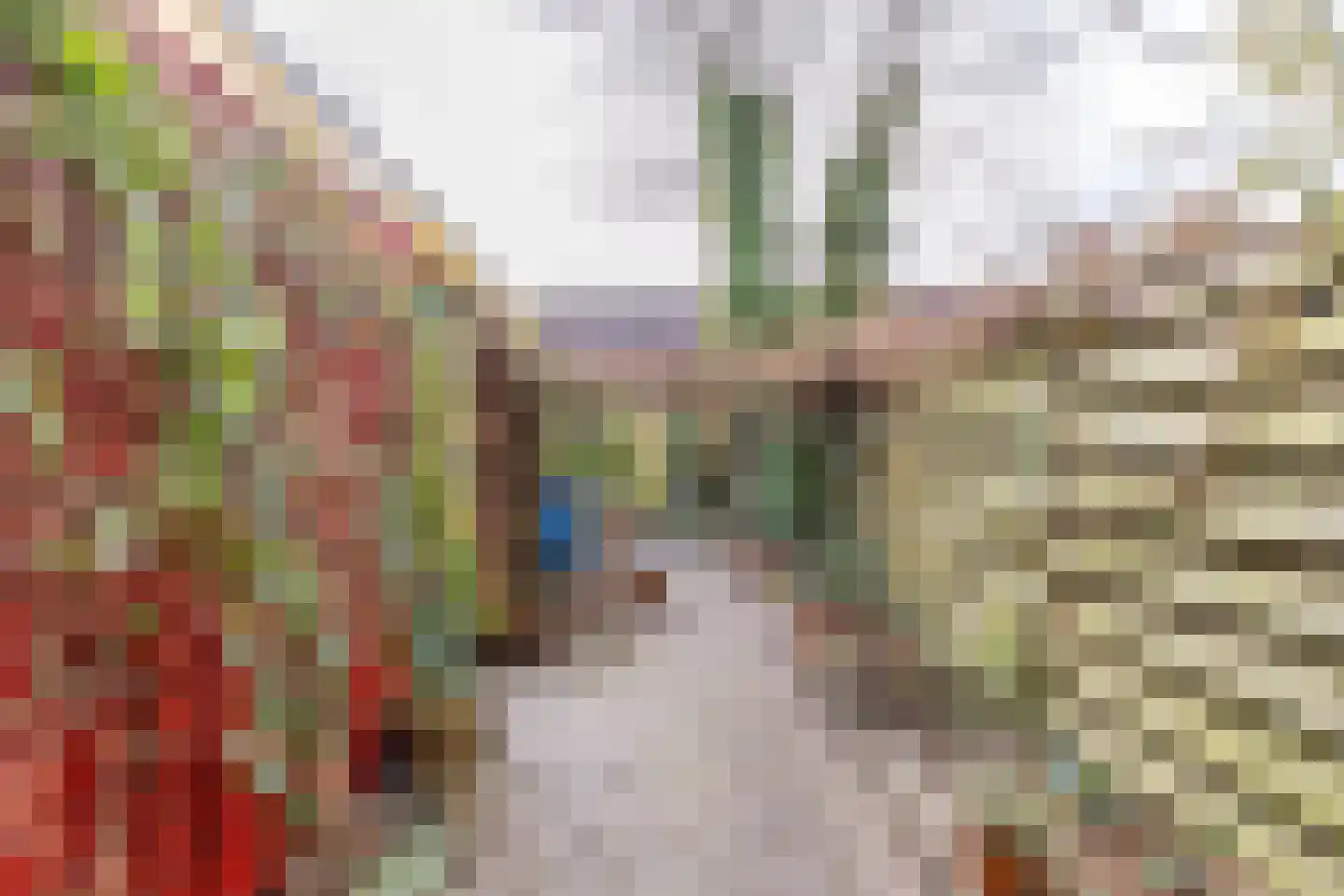 Graspad 55 Groningen thumbnail 28