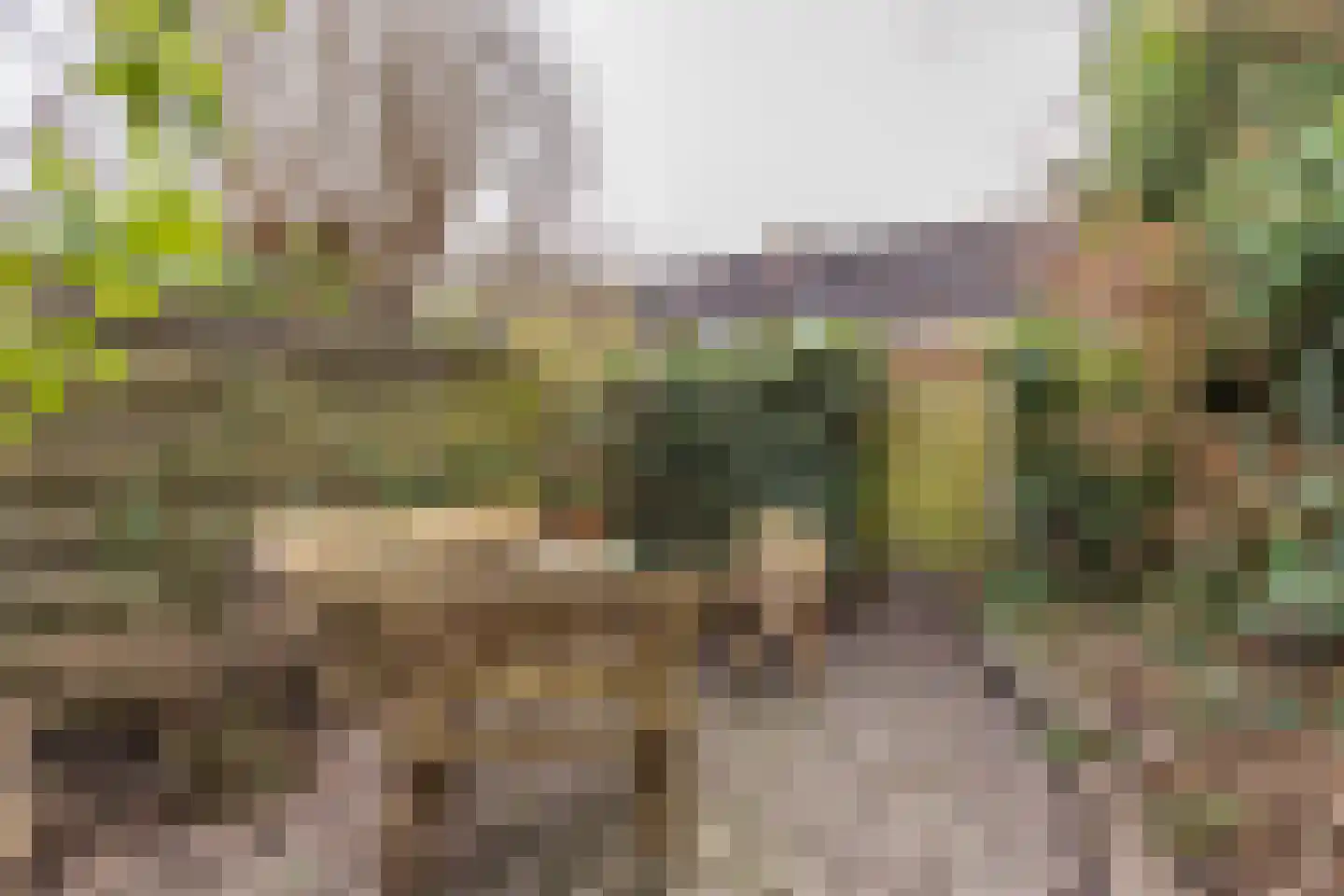 Graspad 55 Groningen thumbnail 29