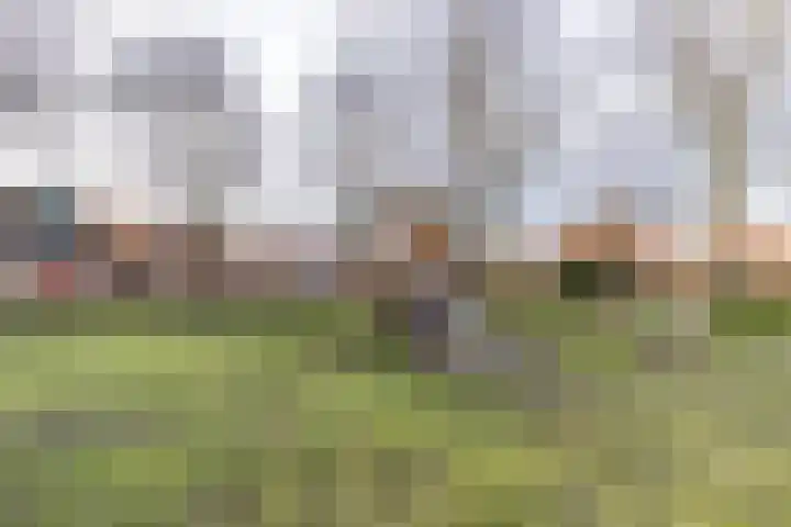 Graspad 55 Groningen thumbnail 32