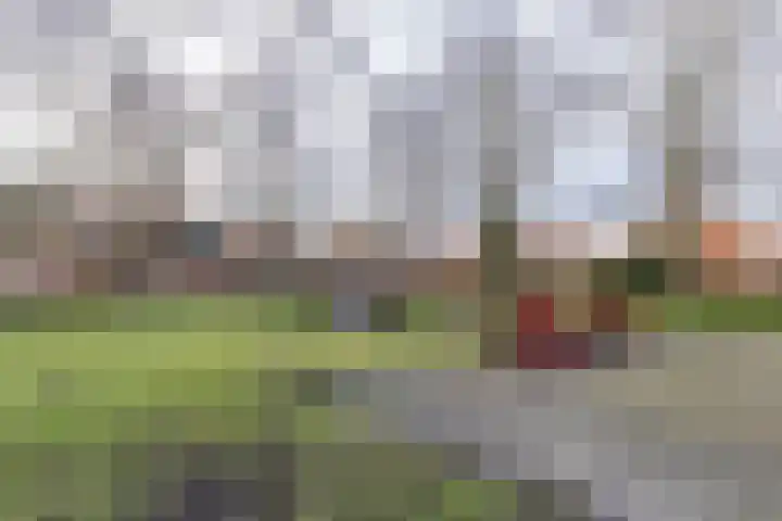 Graspad 55 Groningen thumbnail 33