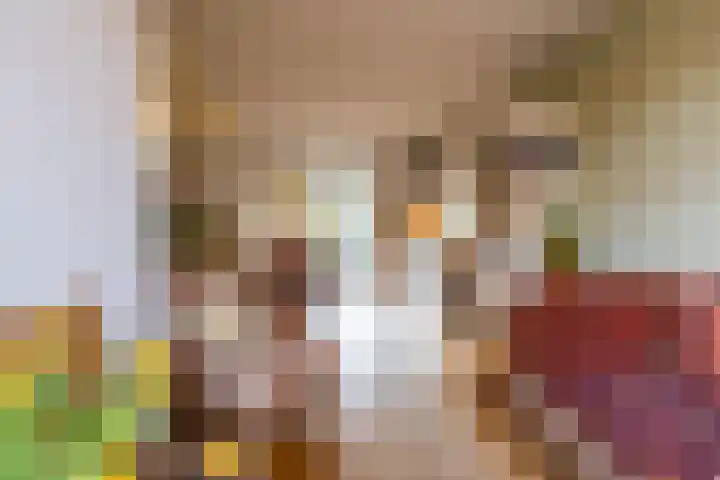 Graspad 55 Groningen thumbnail 8