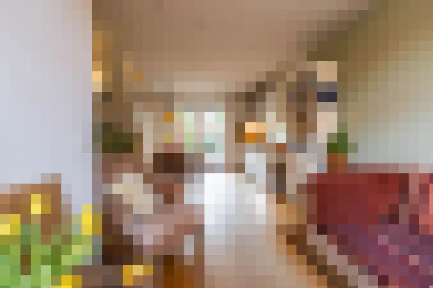 Graspad 55 Groningen thumbnail 8