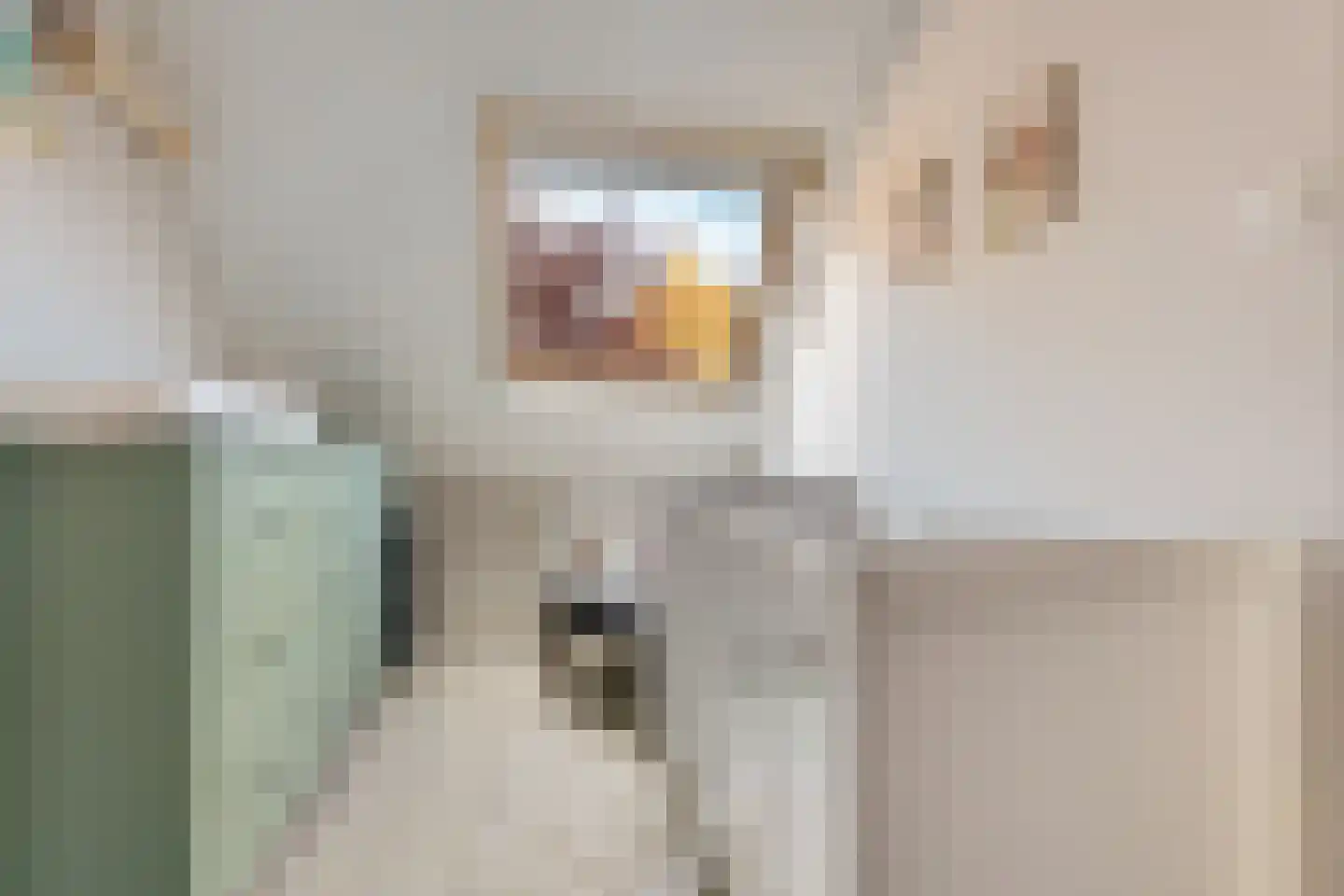 Graspad 7 Groningen thumbnail 22