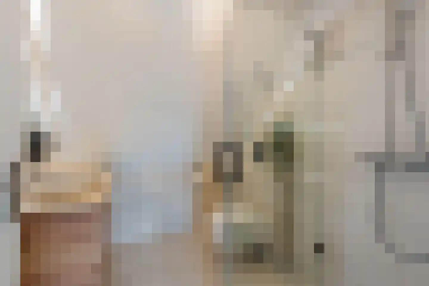 Graspad 7 Groningen thumbnail 25