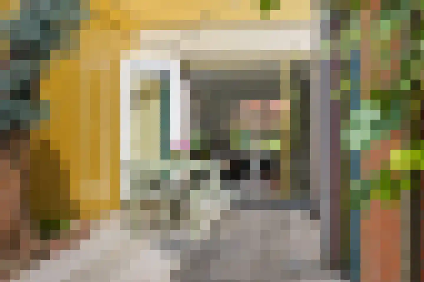 Graspad 7 Groningen thumbnail 30