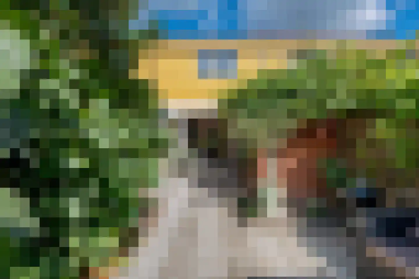 Graspad 7 Groningen thumbnail 32