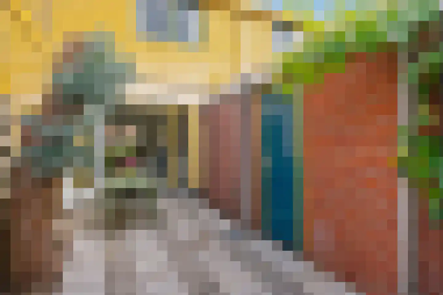 Graspad 7 Groningen thumbnail 33