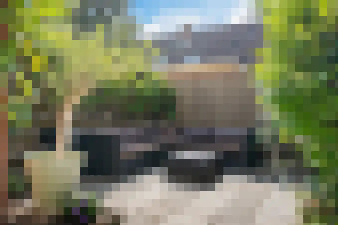 Graspad 7 Groningen thumbnail 4